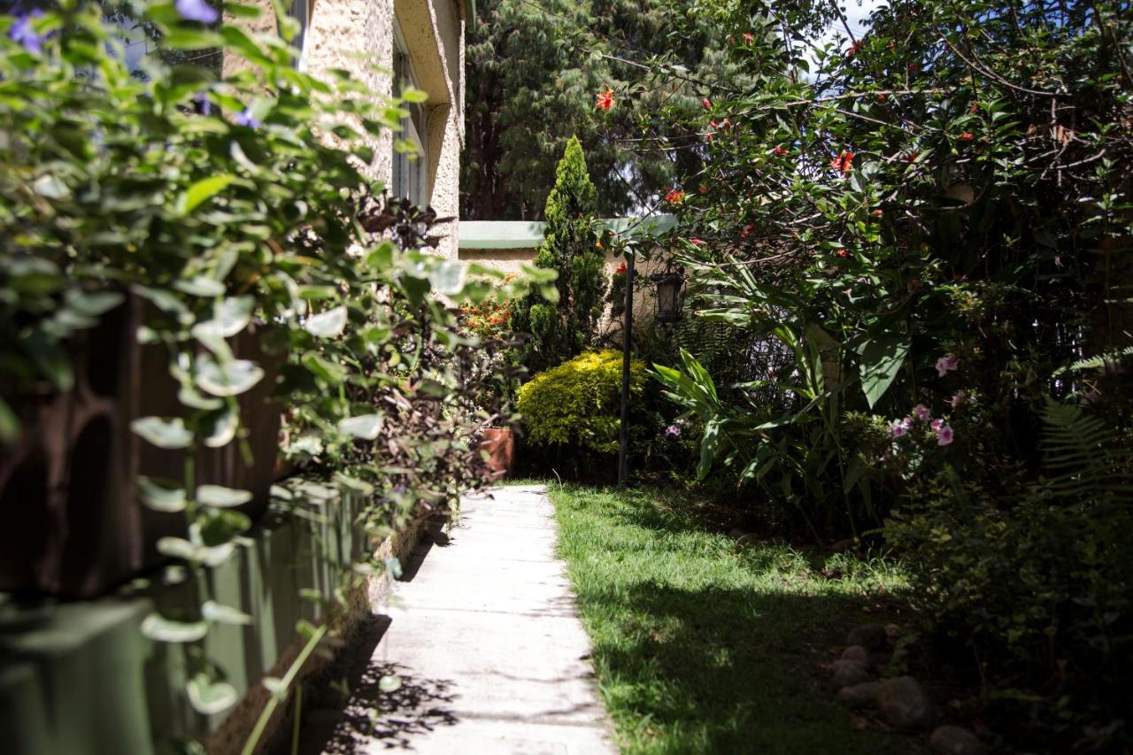 Albergue Real